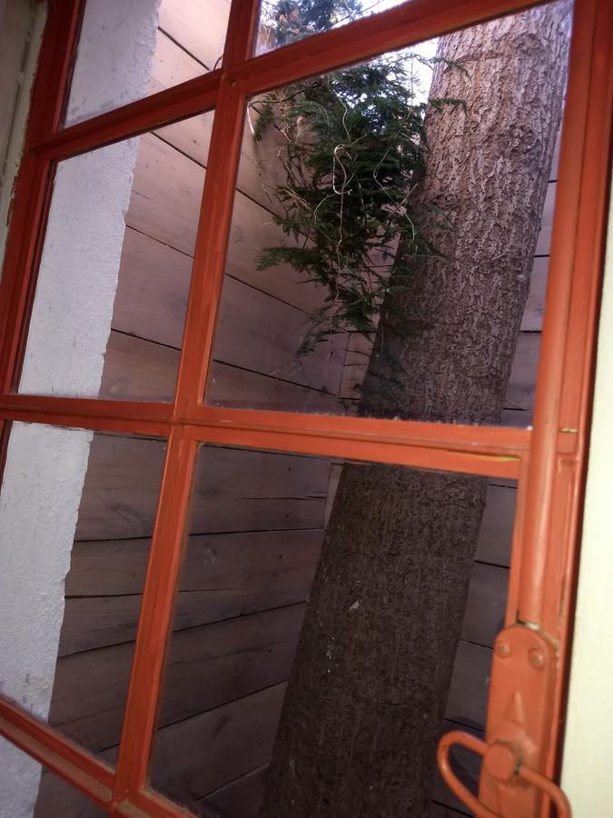 푸레르토피라미드 El Tamarisco 아파트 외부 사진